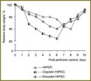Повышение противоопухолевой активности Диоксадэта  и Цисплатина при гипертермической интраперитонеальной химиоперфузии на модели распространенного рака яичника