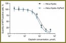 Чувствительность клеток линии Hela Kyoto, трансфицированных сенсором HyPer2, к действию цисплатина