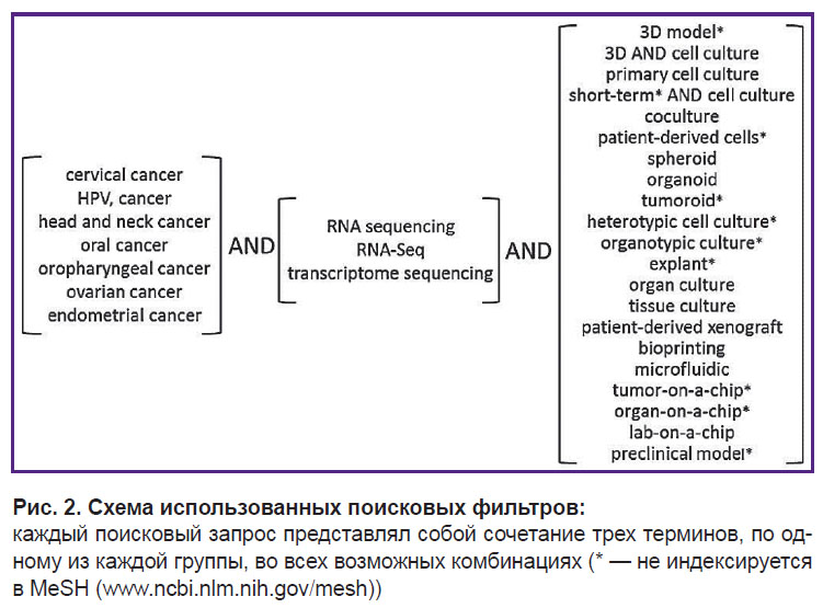 Hpv oropharyngealis rák, Szájüregi rákok / HPV szűrés