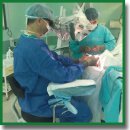 Endogenous and Exogenous Factors Affecting the Surgical Technique (Review)