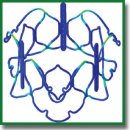 The Concept of a Device for the Redo Transcatheter Mitral Valve Implantation