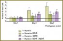 Antihypoxic and Neuroprotective Properties  of BDNF and GDNF in vitro and in vivo  Under Hypoxic Conditions