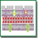 Phenotypic Plasticity as a Strategy of Bacterial Resistance and an Object of Advanced Antimicrobial Technologies (Review)