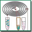 Isolation of Circulating Tumor Cells from Peripheral Blood Samples of Cancer Patients Using Microfluidic Technology