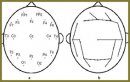 Characteristics of Spatial Synchronization of Encephalograms in Left- and Right-Handed Subjects in Resting State and During Cognitive Testing: a Graph-Theory Analysis