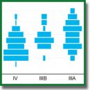 CRAC (Clinical Relevance of Alterations in Cancer): a Knowledge Base for the Selection of Molecularly Matched Therapy for Solid Tumors