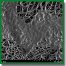 A Technology for Anti-Thrombogenic Drug Coating of Small-Diameter Biodegradable Vascular Prostheses