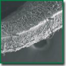 Novel Technology of Modifying the Surface of Biodegradable Vascular Grafts with RGD Peptides: Effect on the Surface Structure and Physical and Mechanical Properties