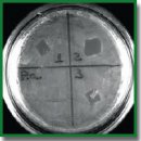 Experimental Grounds for Using Collagen-Based Anti-Adhesion Barrier Coated with Biocides for Prevention of Abdominal Surgical Infection