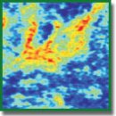 Contrast Enhancement of Cross-Polarization OCT Images of Breast Cancer by Optical Coefficient Calculation