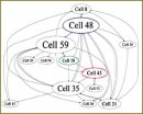The Effect of a Short-term Glucose Deprivation on Neuron Net Functioning of Hippocampus Primary Culture on a Multi-electrode Matrix