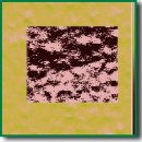 Ultrastructural AFM Markers of Endogenous Intoxication in Community-Acquired Pneumonia