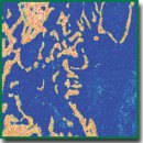 Guided Osteogenesis Using Titanium Nickelide Mesh Constructs Implanted into a Bone Cavitary Defect