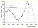 The Study of Cisplatin Effect on Hydrogen Peroxide and pH Level in HeLa Kyoto Cell Line Using Genetically-Encoded Sensors