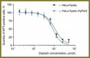 The Sensitivity of Hela Kyoto Cell Line Transfected with Sensor HyPer2 to Cisplatin