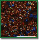 Fluorescence Lifetime Imaging of NAD(P)H T Cells Autofluorescence in the Lymphatic Nodes to Assess the Effectiveness of Anti-CTLA-4 Immunotherapy