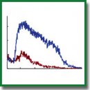 Functional Connectivity of Neural Network in Dissociated Hippocampal Culture Grown on Microelectrode Array