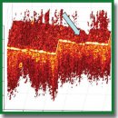 Stabilization of the Scanning Pattern for Three-Dimensional Phase-Sensitive OCT Modalities: Angiography, Relaxography, and Monitoring of Slow Processes