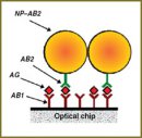 The Study of Intermolecular Interactions Using Optical Biosensors Operating on the Effect of Surface Plasmon Resonance