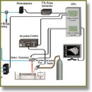 Quantitative Assessment of Hyaline Cartilage Elasticity During Optical Clearing Using Optical Coherence Elastography