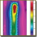 Contribution of Laser-Induced Gas-Vapor-Liquid Dynamics to the Mechanism of Endovenous Laser Ablation
