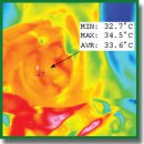 Application of Infrared Monitoring for Personalization of Obstetric Aid
