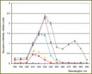 The Effect of Gas-Discharge Plasma Radiation on Erythrocyte Protein Modification
