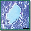 Development of a Two-Layer Porous Scaffold Based on Porcine Nasal Septal Cartilage for Orthopedics