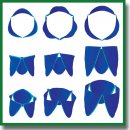 An Algorithm for Automatic Generation and Evaluation of Leaflet Apparatus Models for Heart Valve Prostheses