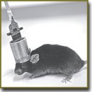 An Advanced 3D Printed Design of the Hybrid  Infusion-Multielectrode Recording System  for Local Field Potential and Single Unit Acquisition  and Intrabrain Drug Delivery in Freely Moving Mice