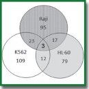 The Influence of microRNA on Signaling Pathways Activity in Radiosensitive and Radioresistant Cancer Cell Lines after Radiation Exposure