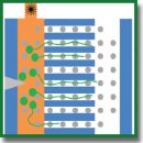 A Method for Recording the Bioelectrical Activity of Neural Axons upon Stimulation with Short Pulses of Infrared Laser Radiation
