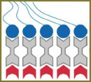 New Concept of the Vision Mechanism (Part I)