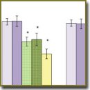 Adaptive Role of Glial Cell Line-Derived Neurotrophic Factor in Cerebral Ischemia