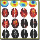 A New Approach to the Study of Consciousness from the Theory of Integrated Information Point of View (Review)