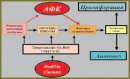 Modern State of Ozonotherapy in Medicine. Perspectives of Use in Oncology