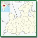 Assessment of Genetic Polymorphisms in the Rewa Population of Central India Using Y-Chromosomal STR Markers