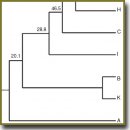 Molecular Epidemiological Analysis of Acinetobacter baumannii Strains Isolated in Patients with Burn Injury