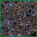 TEM-based Study of the Phenotype of Astrocytes Differentiated from Induced Pluripotent Stem Cells from a Healthy Donor and a Patient with Parkinson’s Disease