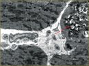 The Study on Atrial Natriuretic Peptide of Cardiomyocytes in a Remote Postperfusion Period in Experiment