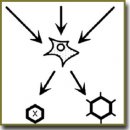 Viral Vectors for Delivering Gene Material into Cells and Their Application in Neurobiology (Review)
