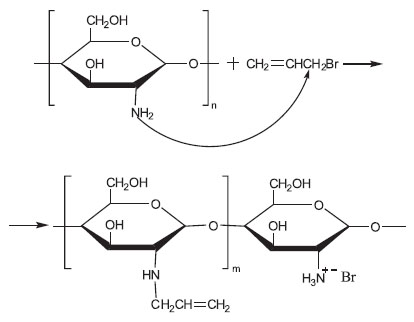 timashev-formula-2.jpg