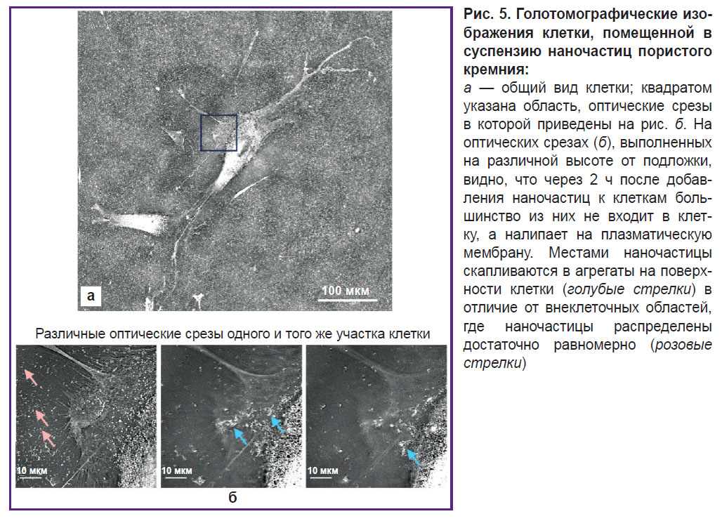 osminkina-ris-5.jpg