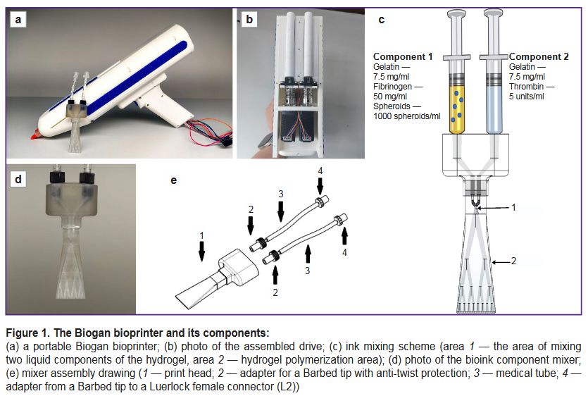 stm-18-1-02-fig-1.jpg
