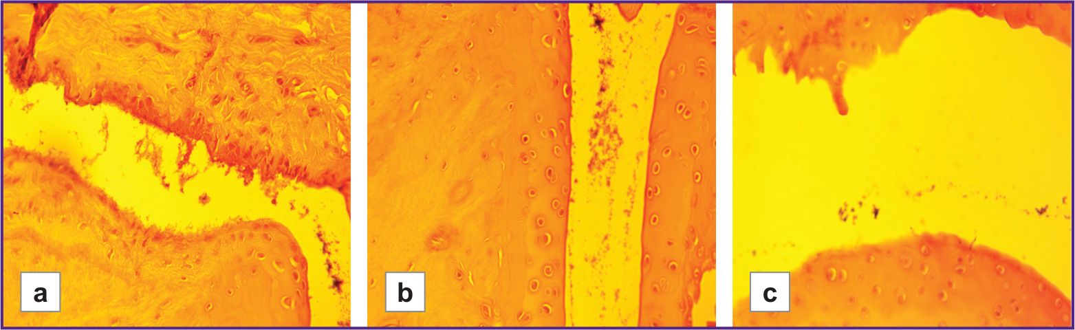 stm-18-2-04-fig-02.jpg