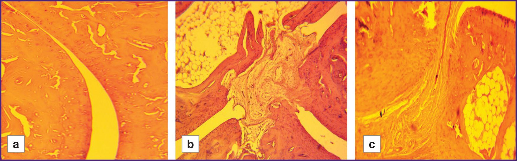 stm-18-2-04-fig-04.jpg