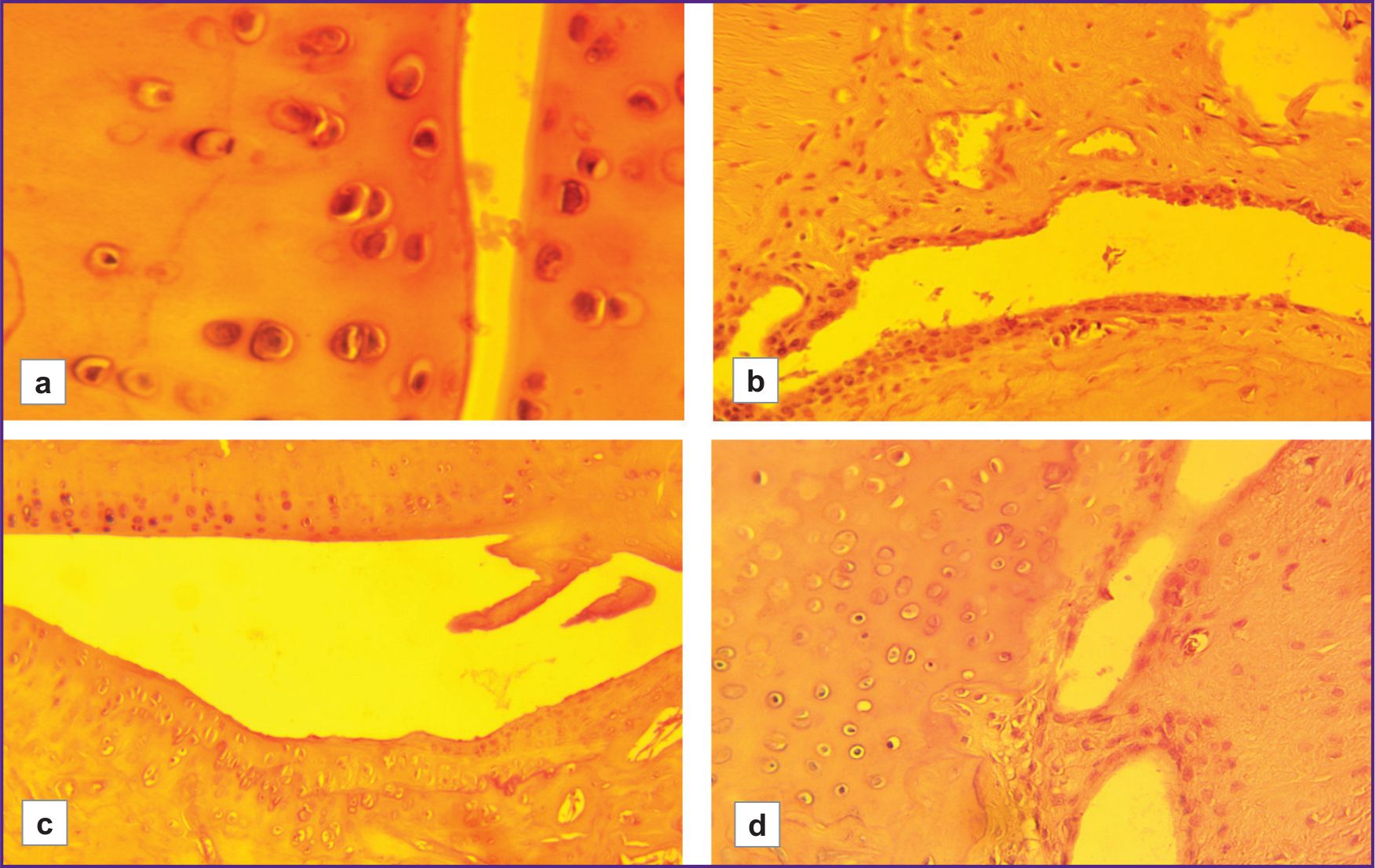 stm-18-2-04-fig-05.jpg